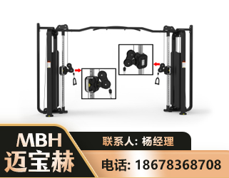 百色大飞鸟训练器