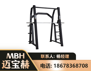 百色史密斯机